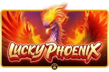 y666